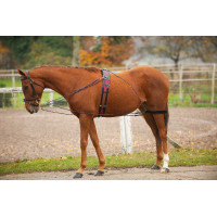 Norton Flaschenzugsystem Norton Flaschenzugsystem