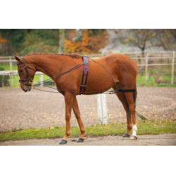 Norton Flaschenzugsystem Norton Flaschenzugsystem