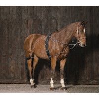 Norton Flaschenzugsystem Norton Flaschenzugsystem