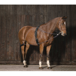 Norton Flaschenzugsystem Norton Flaschenzugsystem