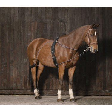 Norton Flaschenzugsystem Norton Flaschenzugsystem