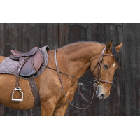 Verstellbarer elastischer Hilfszügel