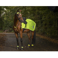 Reflektierende Ausreitdecke Reflektierende Ausreitdecke