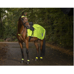 Reflektierende Ausreitdecke Reflektierende Ausreitdecke