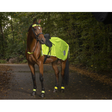 Reflektierende Ausreitdecke Reflektierende Ausreitdecke