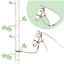 Longe Norton Rando Longe Norton Rando