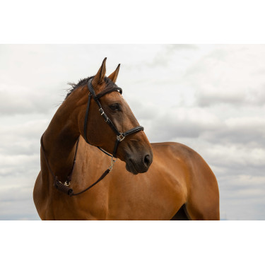 Longe Norton Rando Longe Norton Rando