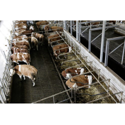 IPCam 360 FHD 1080p Kamera Kerbl