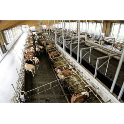 IPCam 360 FHD 1080p Kamera Kerbl