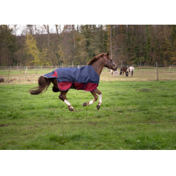 Equithème Tyrex 1200 D Decke