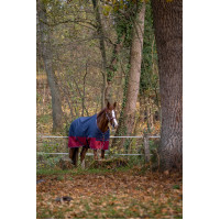 Equithème Tyrex 1200 D Decke