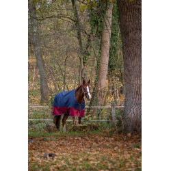 Equithème Tyrex 1200 D Decke