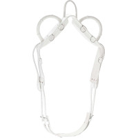 Voltigiergurt Norton