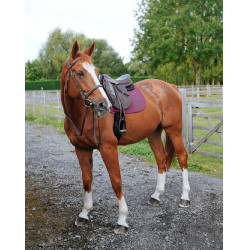 GEM Ten Schabracke Traube GEM Ten Schabracke Traube