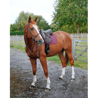 GEM Ten Schabracke Traube GEM Ten Schabracke Traube