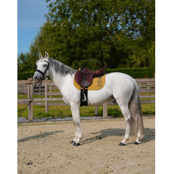 GEM Ten Schabracke Chili GEM Ten Schabracke Chili