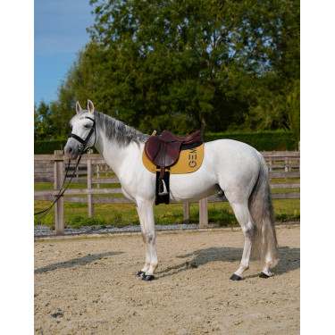 GEM Ten Schabracke Chili GEM Ten Schabracke Chili