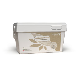 Harpagophytum pur Semoulette Horse Master Harpagophytum pur Semoulette Horse Master