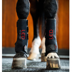 Therapie-Gamaschen von Horseware mit rotem LED-Licht Schwarz / schwarz