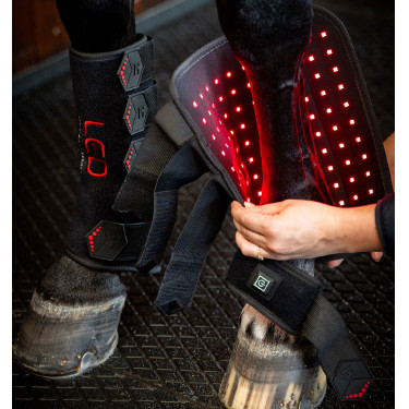 Therapie-Gamaschen von Horseware mit rotem LED-Licht Schwarz / schwarz