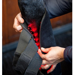 Therapie-Gamaschen von Horseware mit rotem LED-Licht Schwarz / schwarz