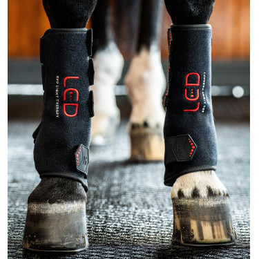 Therapie-Gamaschen von Horseware mit rotem LED-Licht Schwarz / schwarz