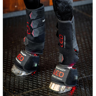 Therapie-Gamaschen von Horseware mit rotem LED-Licht Schwarz / schwarz