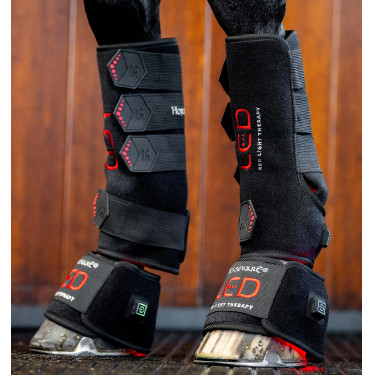 Therapie-Gamaschen von Horseware mit rotem LED-Licht Schwarz / schwarz