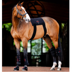 Therapie-Gamaschen von Horseware mit rotem LED-Licht Schwarz / schwarz