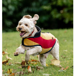 Horseware Newmarket Fleece-Decke für Hunde Weißgold