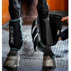 Horseware Ice-Vibe Gamaschen Schwarz / Aqua Horseware Ice-Vibe Gamaschen Schwarz / Aqua