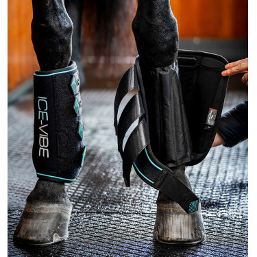 Horseware Ice-Vibe Gamaschen Schwarz / Aqua Horseware Ice-Vibe Gamaschen Schwarz / Aqua