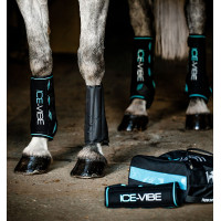 Horseware Ice-Vibe Gamaschen Schwarz / Aqua