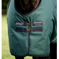 Horseware Amigo Ripstop 900D Turnout 100g Decke Grün Dynastie / Marineblau / Silber