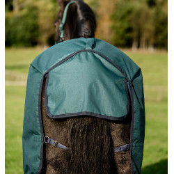 Horseware Amigo Ripstop 900D Turnout 100g Decke Grün Dynastie / Marineblau / Silber