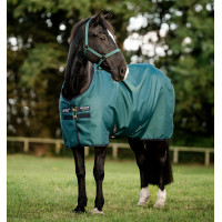 Horseware Amigo Ripstop 900D Poney Turnout 100g Decke Grün Dynastie / Marineblau / Silber