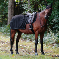 Nierendecke GEM Tao Schwarz