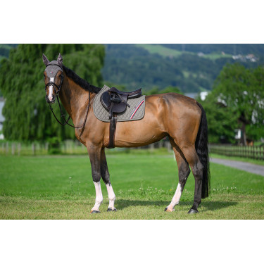 CSO-Satteldecke Tommy Hilfiger Equestrian Stanford Asche Marineblau