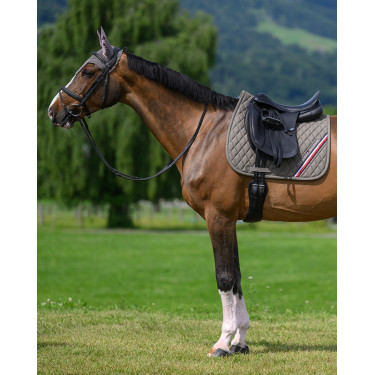 Tommy Hilfiger Equestrian Stanford Dressurpad Asche Marineblau