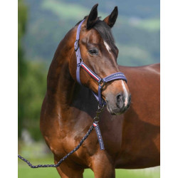 Halfter und Führstrick Tommy Hilfiger Equestrian Yale Verwaschenes Indigo Halfter und Führstrick Tommy Hilfiger Equestrian Yale Verwaschenes Indigo