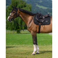 Springpad von Tommy Hilfiger Equestrian Liberty Maulwurf Braun Springpad von Tommy Hilfiger Equestrian Liberty Maulwurf Braun
