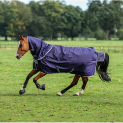 Bucas Atlantic Exclusive 150 g Decke mit Halsteil Marine / Blau