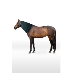 Halsabdeckung für Stalldecke Glasgow Pony Hoze Dunkles Wassergrün Gr&uuml;n