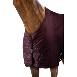 Reflektierende Horze Newbridge Outdoor-Decke 300 g Feige Lila