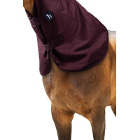 Halsteil Horze Newbridge 100 g Feige Lila