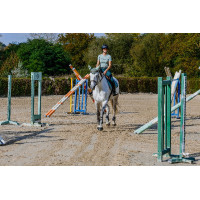 Nahtloses Kurzarm-T-Shirt Equithème Elena Damen Khaki Gr&uuml;n