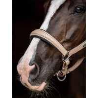 Equestrian Stockholm Anatomic-Lederhalfter mit Glitzer Full Braun