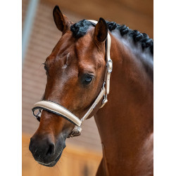 Equestrian Stockholm Anatomic-Lederhalfter mit Glitzer Sand Beige Equestrian Stockholm Anatomic-Lederhalfter mit Glitzer Sand Beige