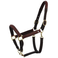 Norton Spring geöltes Leder-Putzhalfter Havanna Braun Norton Spring geöltes Leder-Putzhalfter Havanna Braun