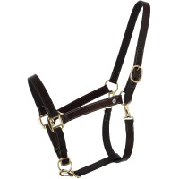 Grooming-Halfter aus geöltem Leder Norton Derby Havanna Braun Grooming-Halfter aus geöltem Leder Norton Derby Havanna Braun
